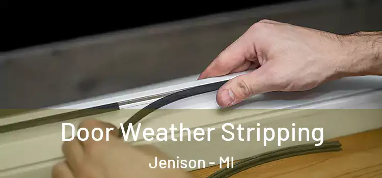  Door Weather Stripping Jenison - MI