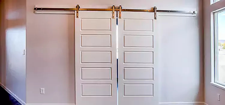 Glass Barn Door with Installation Hardware Kit Jenison