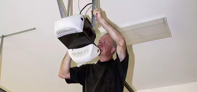 Garage Door Opener Service Jenison
