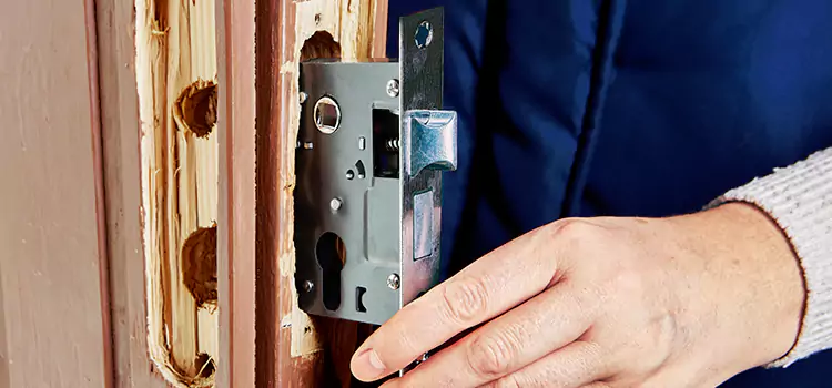 Garage Door Lock Replacement Jenison